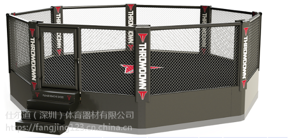 教练约翰·卡瓦纳:康纳为UFC的回归找到数百个对手